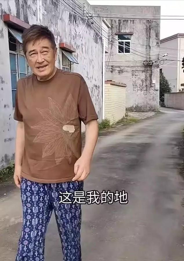 6位过气明星回归普通生活，喂猪养牛，摆摊卖茶叶蛋，住乡下别墅,6位过气明星回归普通生活，喂猪养牛，摆摊卖茶叶蛋，住乡下别墅,香港,内地,我,第32张